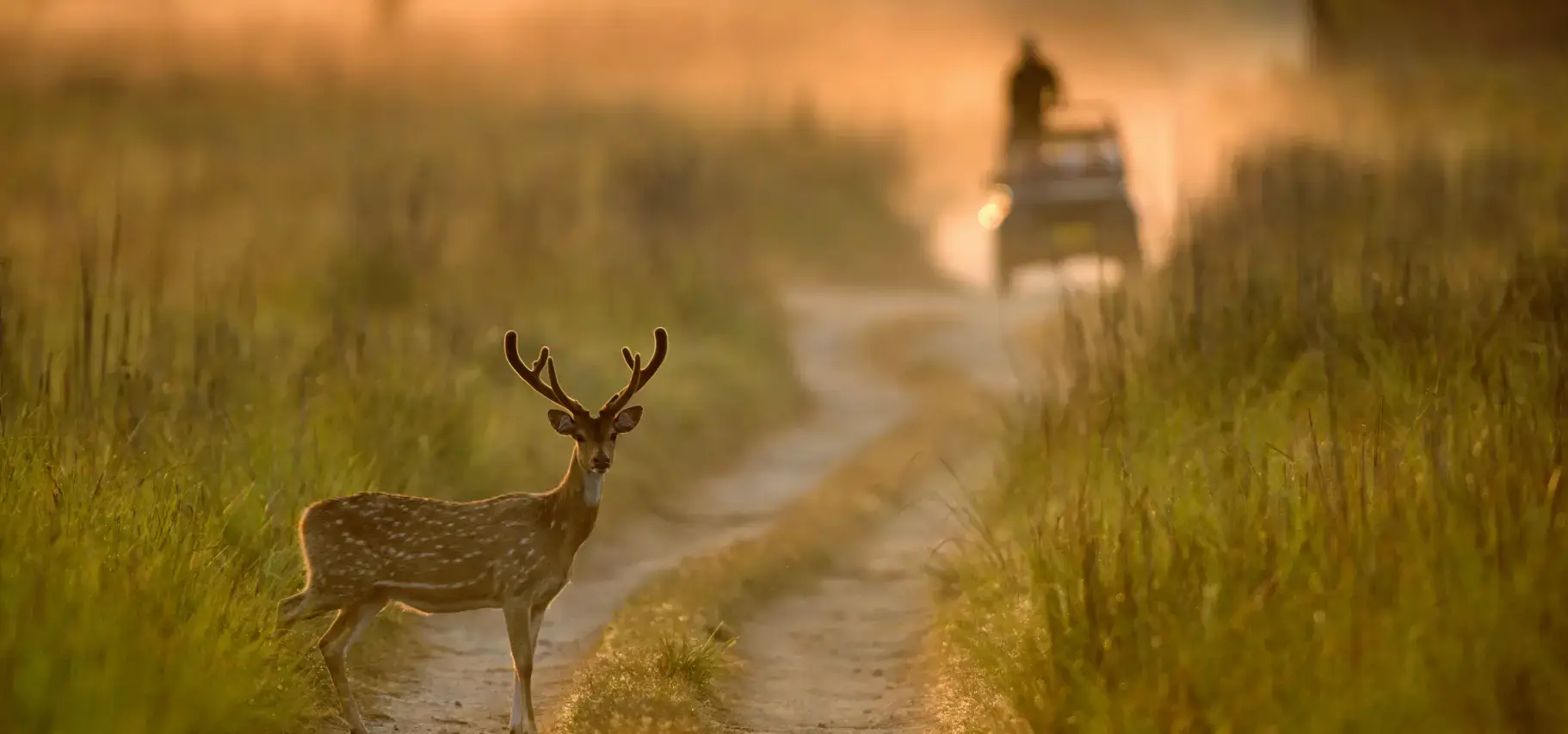 Corbett Tiger Reserve