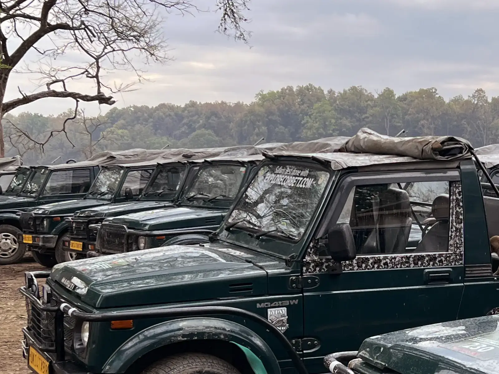 Safari Types in Jim Corbett