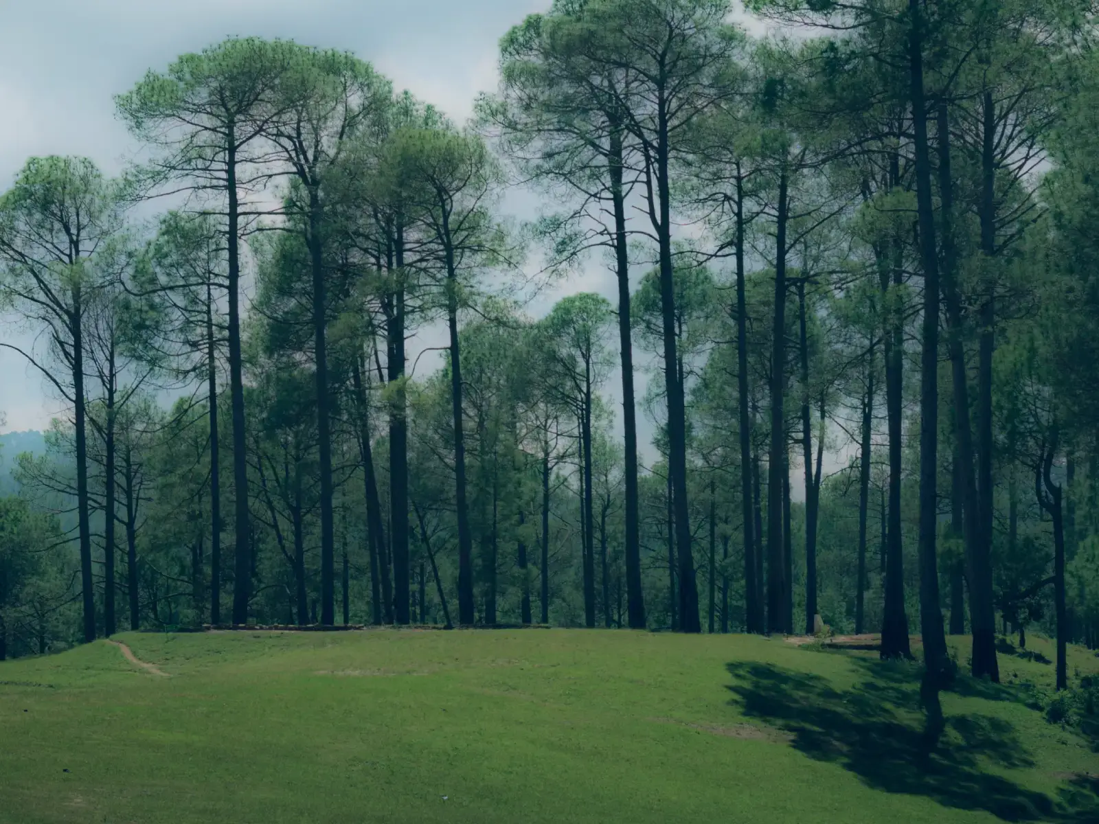 Ranikhet Hill Station